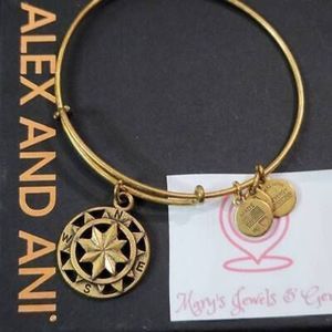 Alex and Ani compass charm bracelet